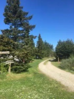 Κάμπινγκ Tranum Klit Og Hytteudlejning Brovst