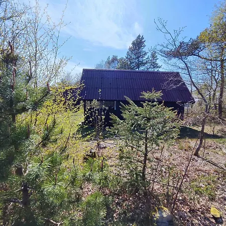 Κάμπινγκ Tranum Klit Og Hytteudlejning Brovst