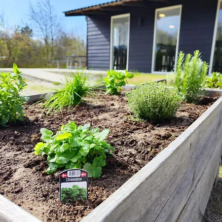 Κάμπινγκ Tranum Klit Og Hytteudlejning Brovst