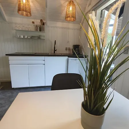 Κάμπινγκ Tranum Klit Og Hytteudlejning Brovst