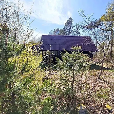 キャンプ場 Tranum Klit Og Hytteudlejning Brovst