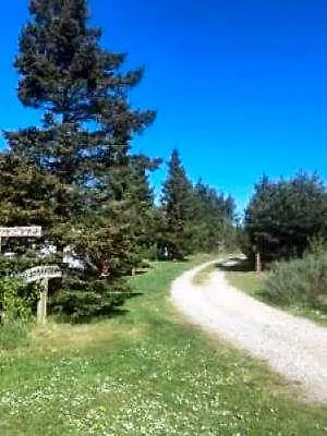 Tranum Klit Og Hytteudlejning キャンプ場 Brovst