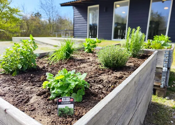 Campsite Tranum Klit Og Hytteudlejning Brovst