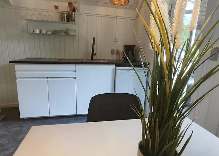 Campingplatz Tranum Klit Og Hytteudlejning Brovst